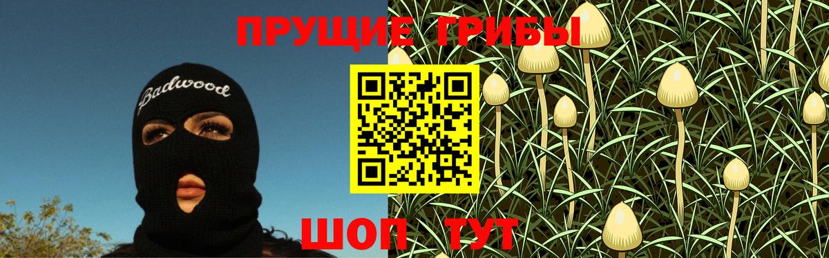 Уфа  Псилоцибиновые грибы GOLDEN TEACHER  закладки  Вход с VPN 